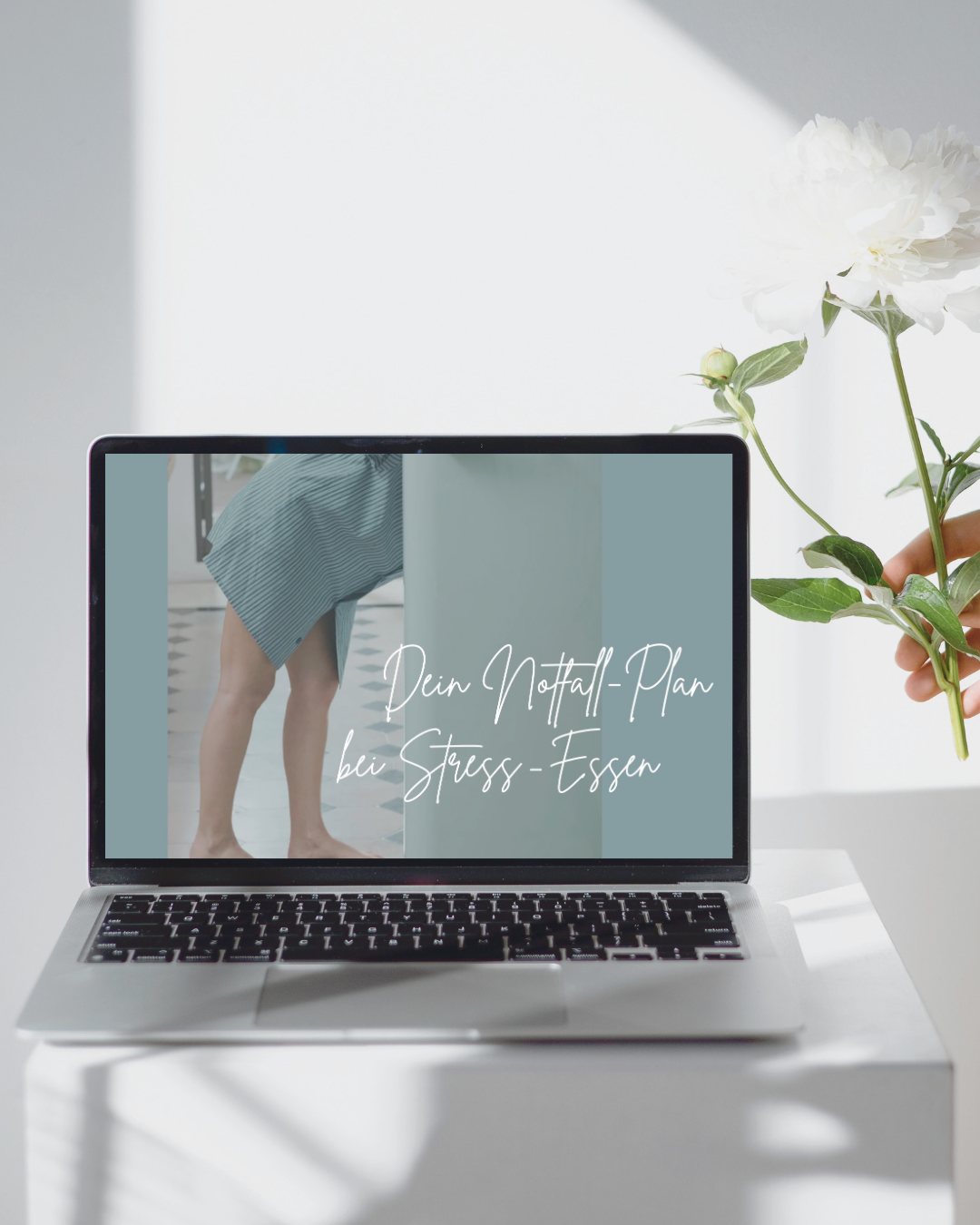 Heller Raum mit Laptop, auf dem Bildschirm wird ein Notfallplan bei Stress-Essen angezeigt.
